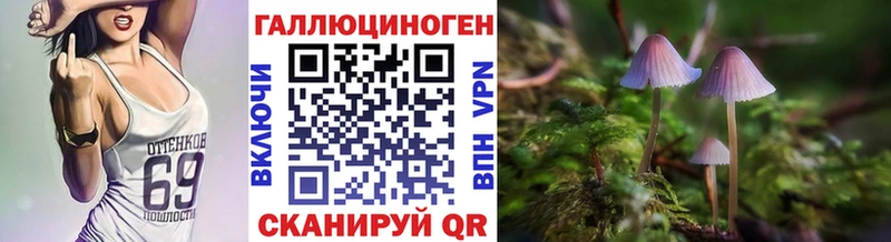 Псилоцибиновые грибы Psilocybine cubensis Тюкалинск